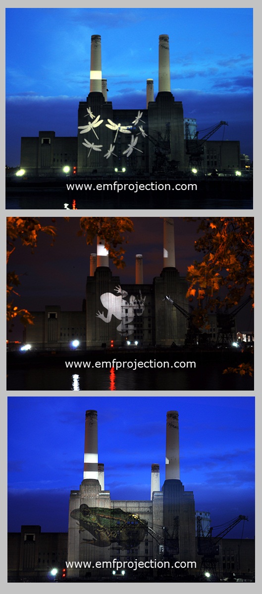 Battersea Power Station Projection for National History Museum exhibition launch